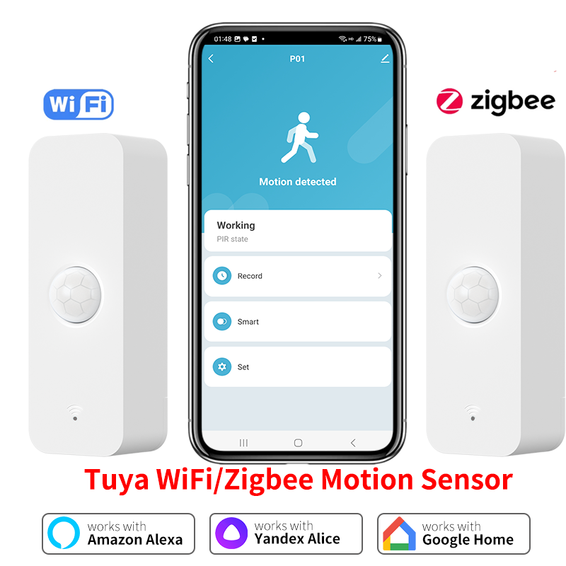 Motion Sensor Outdoor - Tuya WiFi Zigbee PIR Motion Sensor