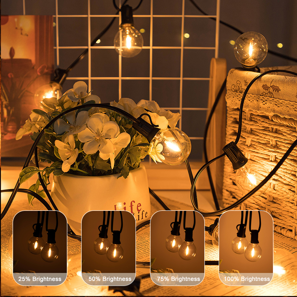 G40 LED Outdoor String Ball Li – Outdoor Lighting Driveway Bewertung und Preis