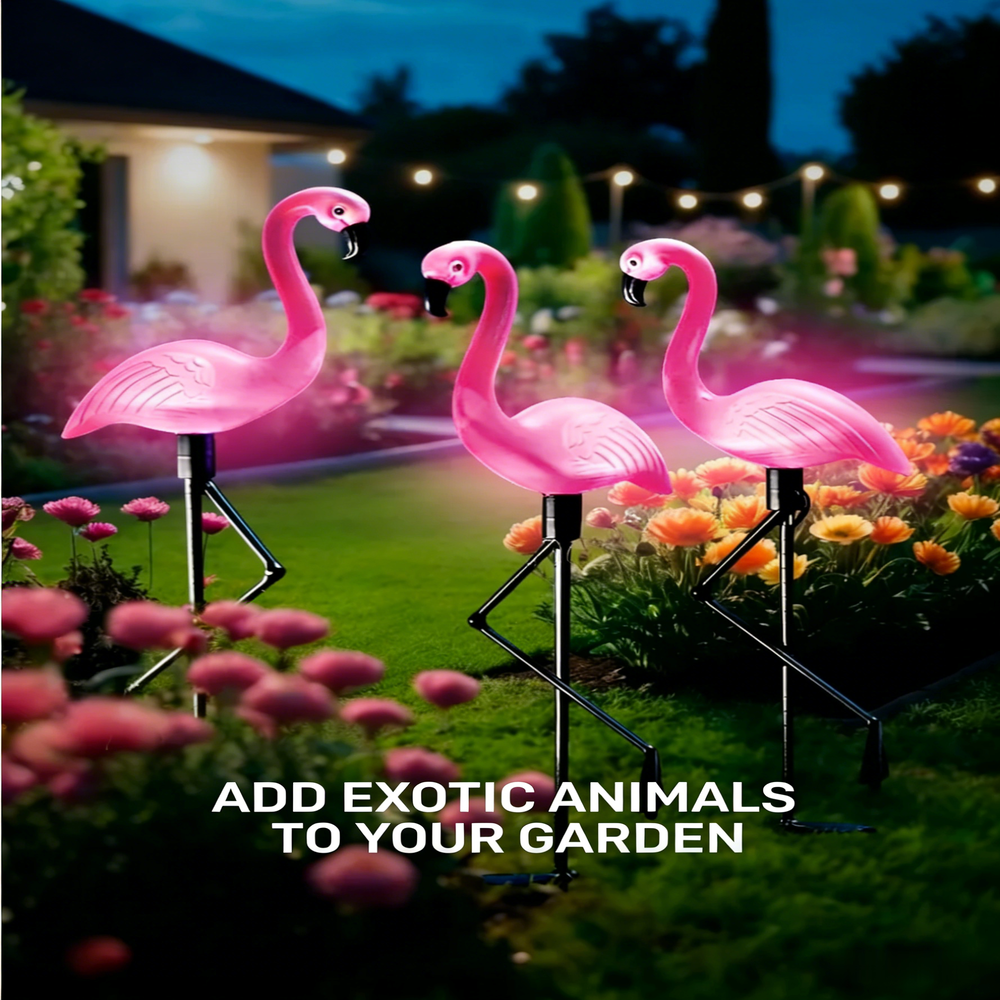 3Pcs Solar Powered Flamingo Gr – Outdoor Lighting Driveway Bewertung und Preis