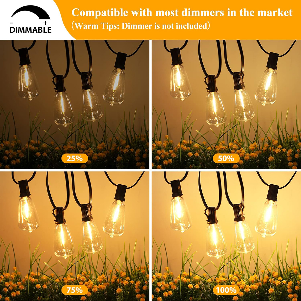 LED String Lights LED Outdoor  – Outdoor Lighting Driveway Bewertung und Preis