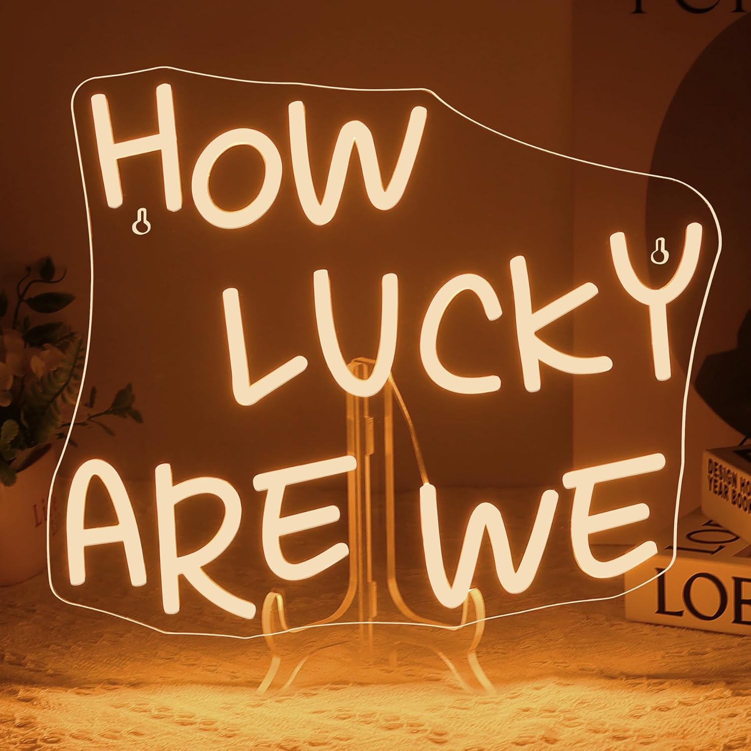 How Lucky Are We Neon Sign USB – Outdoor Lighting How To Bewertung und Preis