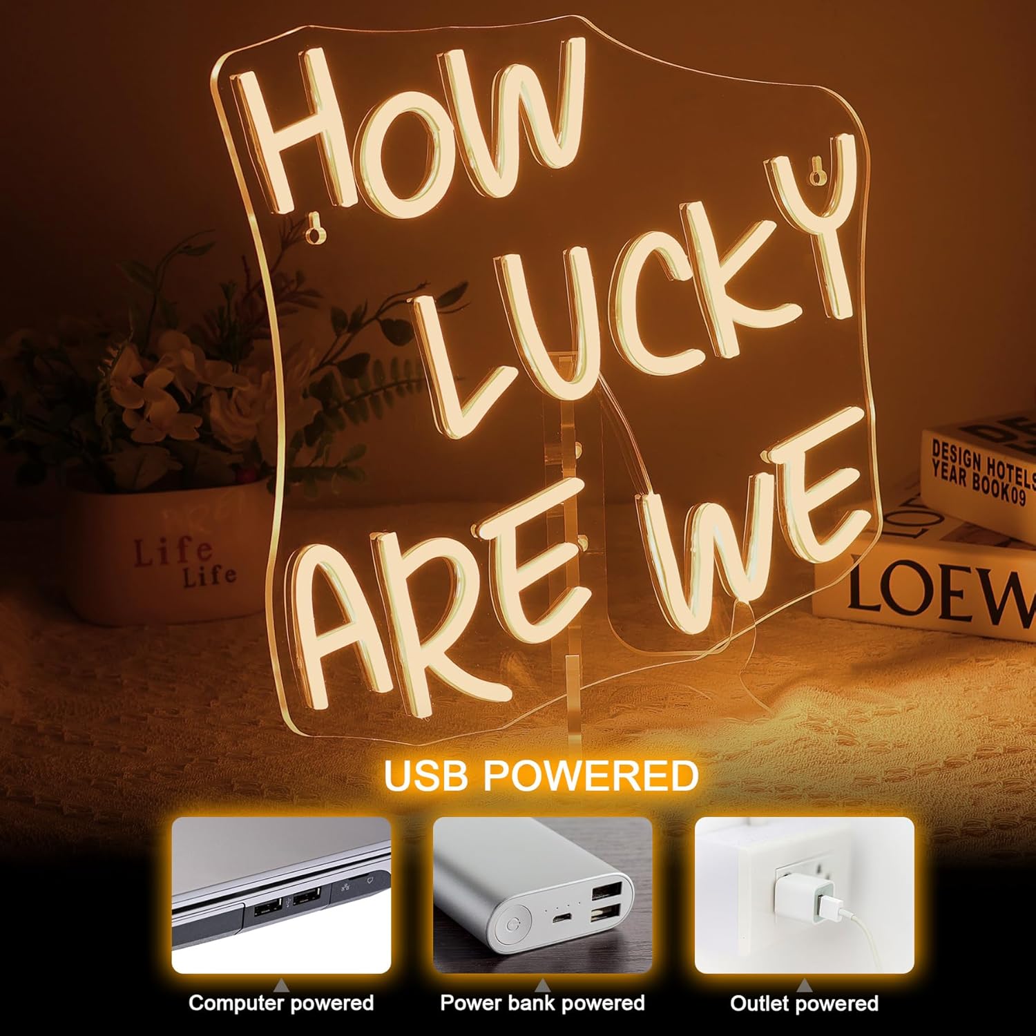 How Lucky Are We Neon Sign USB – Outdoor Lighting How To Bewertung und Preis